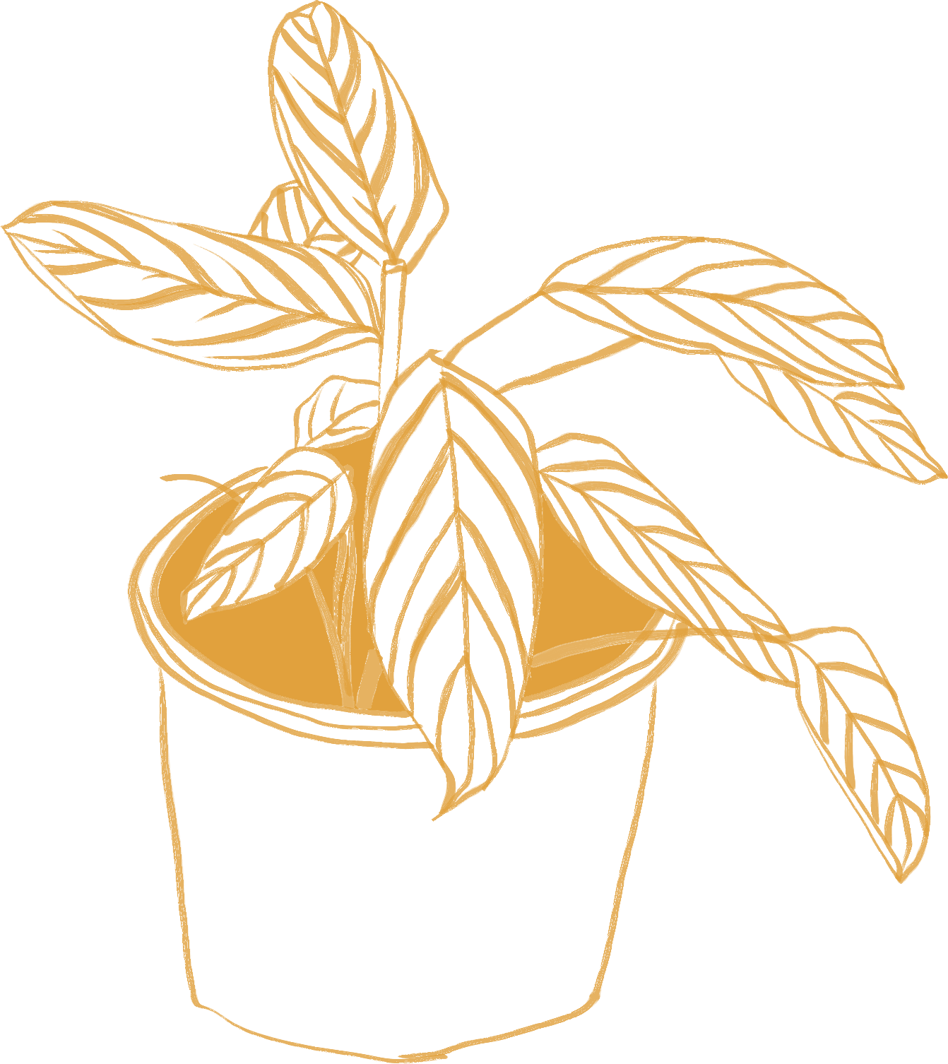 yellow-flower-pot